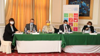 Environment Minister highlights Egypt’s efforts in UN climate dialogue