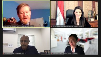 Egypt cushions COVID-19 effects with agile policy making: Al-Mashat