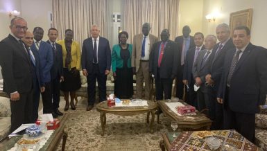 Egypt, South Sudan discuss agricultural cooperation in Juba
