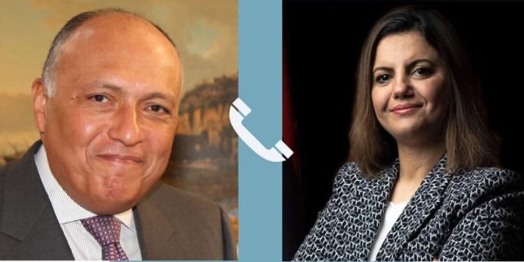Ahmed Hafez, Spokesperson for Egypt’s Ministry of Foreign Affairs, said that the phone call touched on ways to strengthen bilateral relations between the two countries, as well as exchange views on the latest developments in Libya.