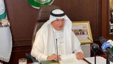 Organization of Islamic Cooperation demands halt of Israeli attacks on Palestinians