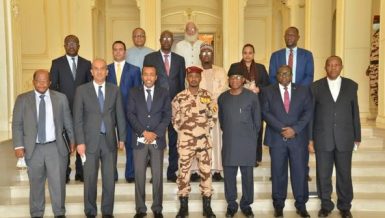 Egypt participates in African fact-finding mission to Chad