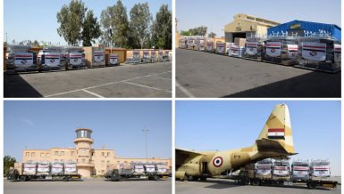Egypt’s medical supplies shipments dispatched to India