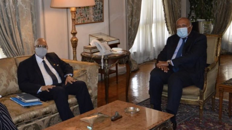 Egypt, Mali discuss strengthening bilateral relations in various fields
