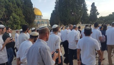 253 Zionist settlers storm Al-Aqsa despite Gaza’s ceasefire agreement
