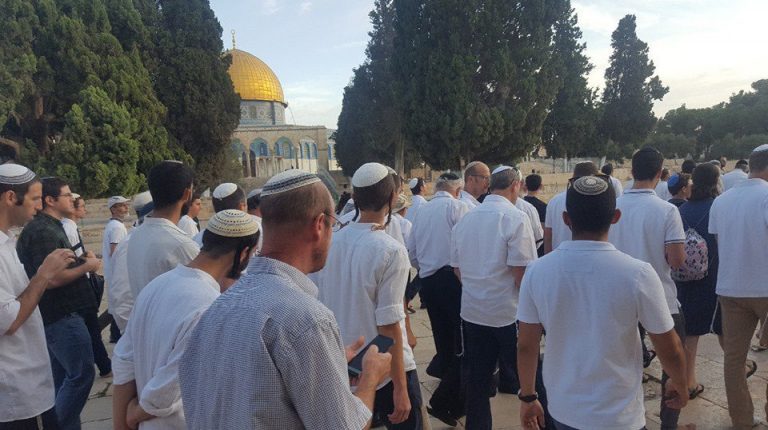 253 Zionist settlers storm Al-Aqsa despite Gaza’s ceasefire agreement