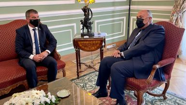 Two-state solution only way to achieve lasting Middle East peace: Shoukry