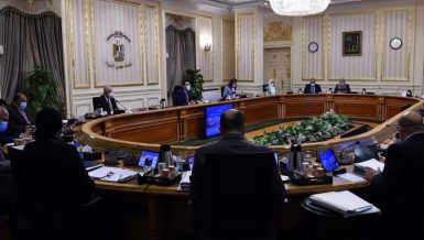 Egypt’s political leadership working to halt Palestine-Israel escalation: Prime Minister