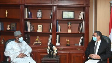 Egypt, Guinea discuss enhancing cooperation in tourism