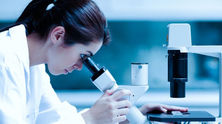 Egypt relatively close to achieving gender equality in science: UNESCO