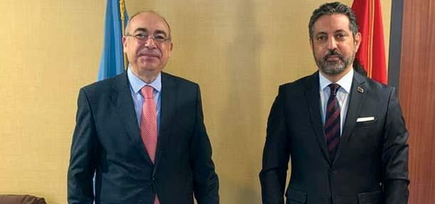 Egypt explores ways to support Libyan transitional phase