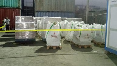 Egypt’s Environment Ministry, Geocycle Lafarge Egyptsafely dispose 200 tonnes of hazardous pesticides in 2021