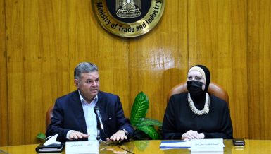Egypt's Trade, Public Enterprise Ministers discuss providing textile factories with raw materials
