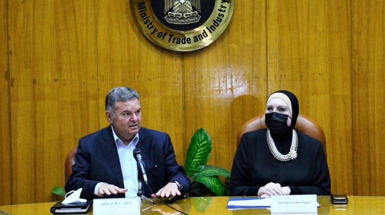 Egypt's Trade, Public Enterprise Ministers discuss providing textile factories with raw materials