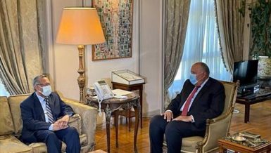 Egypt’s Shoukry calls for prioritising political solution to Yemen crisis