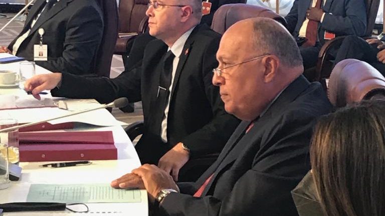 Egypt stresses need for clear Arab solidarity to reach agreement on GERD