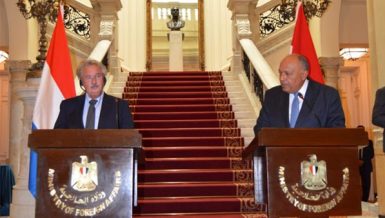 Europe understands aspects of Ethiopian dam issue: Shoukry