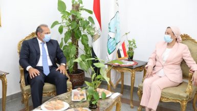 Environment Ministry, NBE partner to support ‘Eco Egypt’ campaign