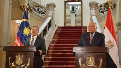 Egypt, Malaysia discuss bilateral, international issues of common interest