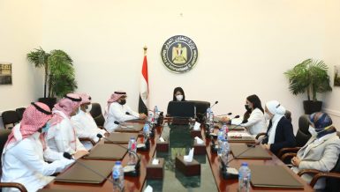 Egypt, Saudi Arabia launch website for financing MSMEs