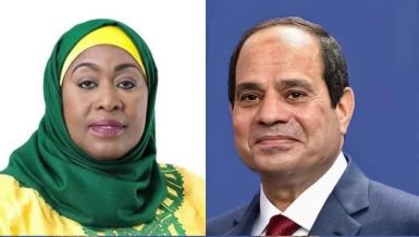 Egypt’s Al-Sisi discusses GERD developments with Tanzanian counterpart