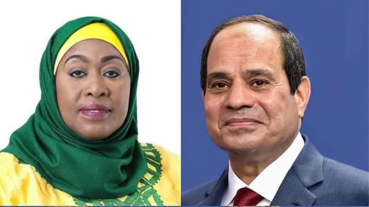Egypt’s Al-Sisi discusses GERD developments with Tanzanian counterpart
