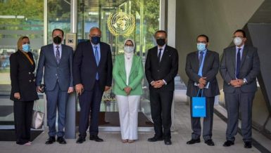 Egypt, WHO discuss approval for domestically produced COVID-19 vaccine