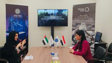 Egypt, UAE discuss re-activating joint cooperative committee through Arab funds