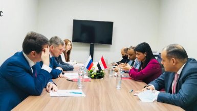 Egypt, Russia discuss future areas for partnerships