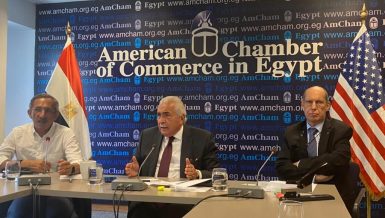 Egyptian door-knocking delegation to visit US by Q4 of 2021