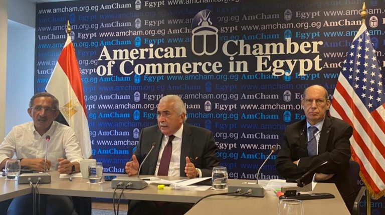 Egyptian door-knocking delegation to visit US by Q4 of 2021