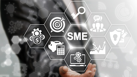 Egyptian government, banking sector take strong action to support MSMEs
