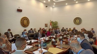 Egypt holds meeting in run-up to 1st Joint Higher Committee session with South Sudan