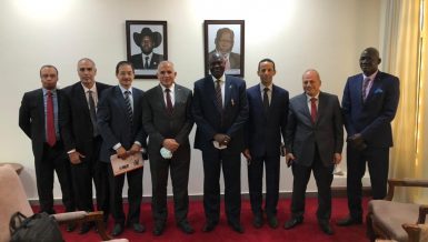 Egypt, South Sudan discuss GERD updates, regional water issues
