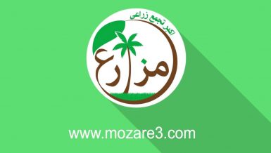 Mozare3