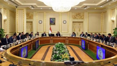 Egypt’s Cabinet denies using internationally banned antibiotics in poultry farms