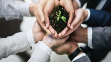 Egyptian government, banking sector take strong action to support MSMEs