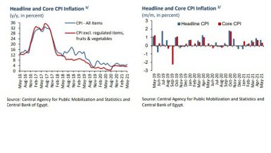 Egypt’s annual urban inflation rises to 4.8% in May 2021: CBE