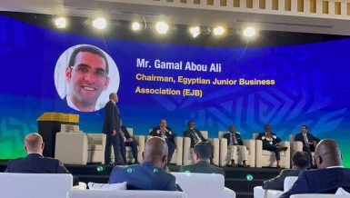 SMEs, startups, youth key to increased inter-African investments: EJB Chairperson