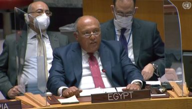 Egyptâs Foreign Minister full speech on GERD at UNSC