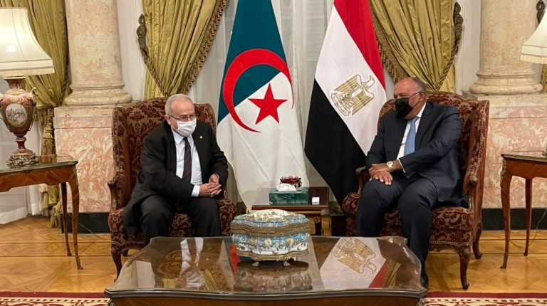 Egypt's Minister of Foreign Affairs Sameh Shoukry with Algeria Foreign Minister Ramtane Lamamra in Cairo.