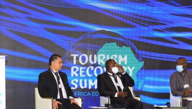 Egypt participates in international summit on tourism recovery