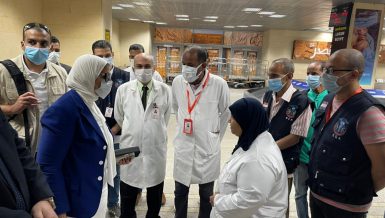 Health Minister inspects quarantine at Luxor Airport, COVID-19 preventive measures