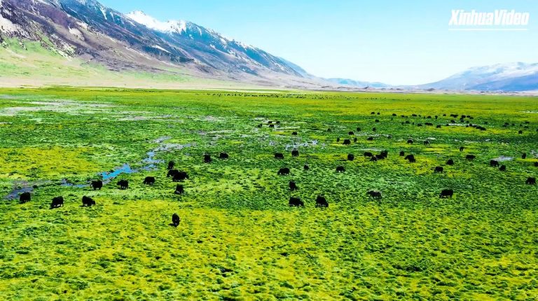 Enter the 2nd Tibet Internet Photography & Video Festival