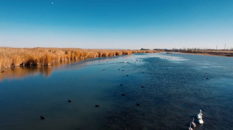 GLOBALink | Experts hail Chinese wisdom in environmental governance