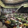 Exploring Asia's largest fresh cut flower trading market with Dale Fox