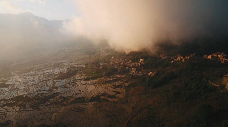 China's efforts in maintaining biodiversity in eyes of former diplomat
